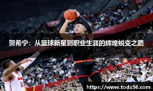 贺希宁：从篮球新星到职业生涯的辉煌蜕变之路